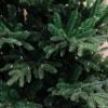 6 Foot Pre-lit Rocky Mountain Fir Artificial Christmas Tree with LED Lights (6ft Pre-lit) view 2