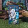 Nemesis Now Officially Licensed Lisa Parker Fairy Whispers Embossed Purse, Blue, 18.5cm view 2