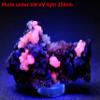 200ct 47mm Hematoid Red Quartz w/Calcite & Galen Rough Cluster Rose Glowing Under SW UV Natural Gemstone Crystal Mineral Collectible Specimen - Jiangxi,China view 2