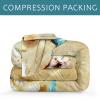Bedbay Beach Comforter Twin Size Bed Coastal Bedding Set 3 Pieces Soft Microfiber Fluffy Comforter Set Sea Life Starfish Beach Style Comforter Set for All Seasons(Coastal,Twin) view 4