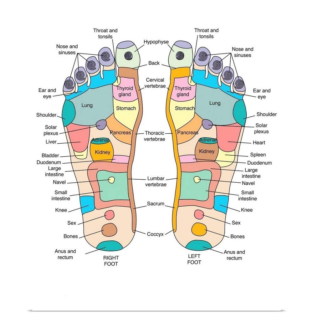 GREATBIGCANVAS Reflexology Foot map Unframed Poster Print