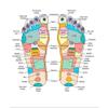 GREATBIGCANVAS Reflexology Foot map Unframed Poster Print view 1