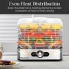Elite Gourmet EFD3321 Food Dehydrator, Stainless Steel Trays Adjustable Temperature Controls, Jerky, Herbs, Fruit, Veggies, Dried Snacks, Stainless Steel view 3