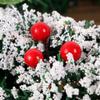 Wreaths LIU- Christmas Handmade Holiday Simulation Flowers and Christmas Tree Decoration Diameter 40CM (Size : 40cm) view 4