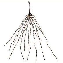 Allstate Floral and Crafts Hanging Twig Vine LED Lighting Brown 4'