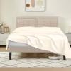 Tula Linen 1 Piece Luxury Hotel Quality Flat Sheet/Top Sheet Queen Size 100% Egyptian Cotton 700 Thread Count Solid Pattern Premium Quality Color Ivory view 1