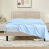 Tula Linen 1 Piece Luxury Hotel Quality Flat Sheet/Top Sheet Queen Size 100% Egyptian Cotton 700 Thread Count Solid Pattern Premium Quality Color Light Blue view 1