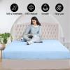 Tula Linen 1 Piece Luxury Hotel Quality Fully Elastic Fitted Sheet/Bottom Sheet Queen Size Fits 14-15" Deep Pocket 100% Egyptian Cotton 700 Thread Count Solid Pattern Premium Quality Color Light Blue view 4