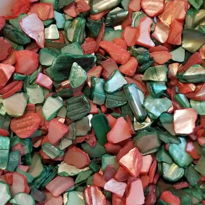BeachWalk Small Natural Crushed Shells - for Weddings, Vase Filler, Home Dcor, and Crafts (48 oz (3 lb), Holly Pearl)