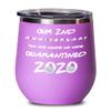 2nd Anniversary Quarantine Wine Tumbler for Wife from Husband The One Where We Were Quarantined 2020 Funny Friends Pandemic Travel Mug 12 oz Insulated view 1