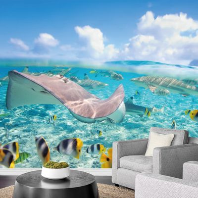 SIGNWIN Wall Mural Underwater with Coral Reef and Colorful Fish Removable Self-Adhesive Wallpaper Wall Decoration for Bedroom Living Room - 100x144 inches