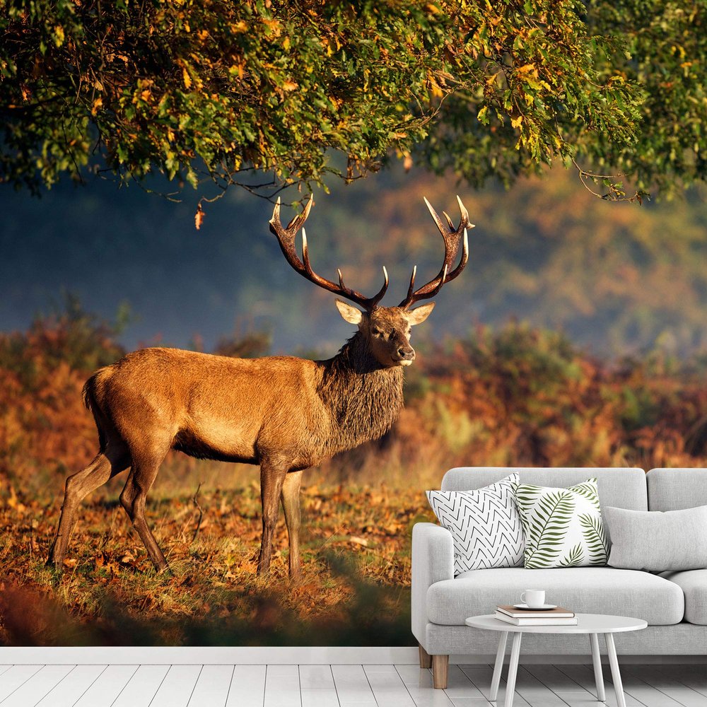 SIGNWIN Wall Mural Wild Animals Removable Self-Adhesive Wallpaper Wall Decoration for Bedroom Living Room - 66x96 inches
