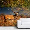 SIGNWIN Wall Mural Wild Animals Removable Self-Adhesive Wallpaper Wall Decoration for Bedroom Living Room - 66x96 inches view 2