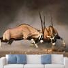 SIGNWIN Wall Mural Wild Animals Removable Self-Adhesive Wallpaper Wall Decoration for Bedroom Living Room - 66x96 inches view 2