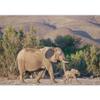 SIGNWIN Wall Mural Wild Animals Removable Self-Adhesive Wallpaper Wall Decoration for Bedroom Living Room - 66x96 inches view 3