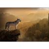 SIGNWIN Wall Mural Wild Animals Removable Self-Adhesive Wallpaper Wall Decoration for Bedroom Living Room - 100x144 inches view 3