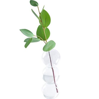 Pearlead Clear Glass Bubble Vase Centerpieces for Hydroponic Plants Cute Floral Vase for Home Decor 6.5 Inches White
