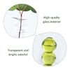 Pearlead Clear Glass Bubble Vase Centerpieces for Hydroponic Plants Cute Floral Vase for Home Decor 6.5 Inches White view 3