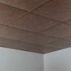 FASDE Border Fill Decorative Vinyl 2ft x 2ft Lay in Ceiling Panel in Copper Fantasy (5 Pack) view 2
