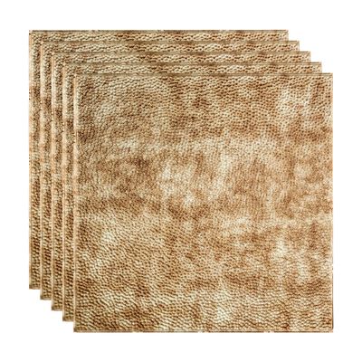 FASDE Border Fill Decorative Vinyl 2ft x 2ft Lay in Ceiling Panel in Bermuda Bronze (5 Pack)