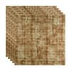 FASDE Square Decorative Vinyl 2ft x 2ft Lay in Ceiling Panel in Bermuda Bronze (5 Pack) view 1