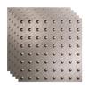 FASDE Dome Decorative Vinyl 2ft x 2ft Lay in Ceiling Panel in Galvanized Steel (5 Pack) view 1