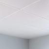 FASDE Square Decorative Vinyl 2ft x 2ft Lay in Ceiling Panel in Gloss White (5 Pack) view 2