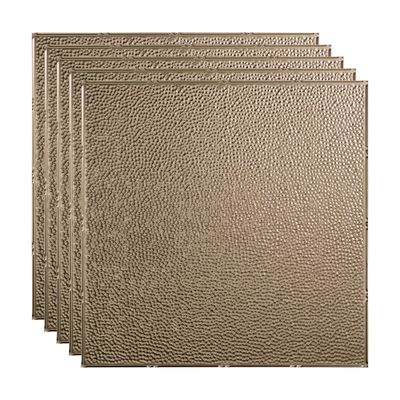 FASDE Border Fill Decorative Vinyl 2ft x 2ft Lay in Ceiling Panel in Brushed Nickel (5 Pack)
