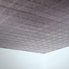 FASDE Traditional Style/Pattern 10 Decorative Vinyl 2ft x 2ft Lay in Ceiling Panel in Galvanized Steel (5 Pack) view 2