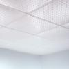 FASDE Minidome Decorative Vinyl 2ft x 2ft Lay in Ceiling Panel in Matte White (5 Pack) view 2