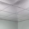 FASDE Minidome Decorative Vinyl 2ft x 2ft Lay in Ceiling Panel in Brushed Aluminum (5 Pack) view 2