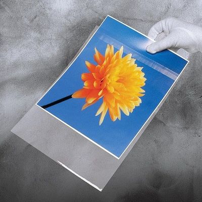 Lineco Self-Sealing Photo/Art Bags 8.5x11 (r) (pkg of 50) - 8.5x11