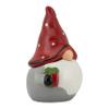 10 Strawberry Street Nordic Gnome Set Cookie Jar, 4 Piece, Gray/Red view 4