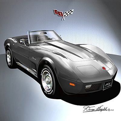 1974 Corvette convertibile Gun Metal Gray - Fine Art Print by Danny Whitfield - Size 20 X 30