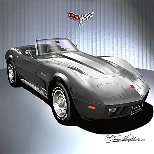 1974 Corvette convertibile Gun Metal Gray - Fine Art Print by Danny Whitfield - Size 20 X 30
