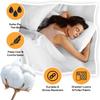 Luxurious 100% Pima Cotton 1500-Thread-Count Pillow Case Set of 2-Piece (Queen 20 x 30) Ivory Color, Stripe Pattern. view 3