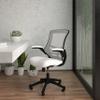 BizChair Mid-Back White Mesh Swivel Ergonomic Task Office Desk Chair with Flip-Up Arms view 1