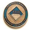 31 Year NA Blue & Gold Diamond Style Recovery, Clean, Medallion, Chip, Coin, Token view 1