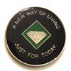 31 Year NA Green & Black Diamond Style Recovery, Clean, Medallion, Chip, Coin, Token view 2