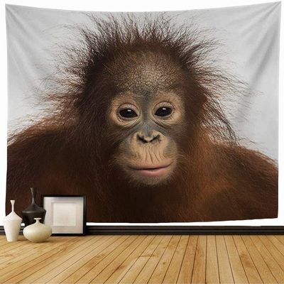 Starookc Tapestry Monkey Closeup Young Bornean Orangutan Facing Looking Animals One Wildlife Ape Asian Baby Cut Out Cool Tapestry Wall Tapestry for Bedroom Wall Decor 60x50 Inch
