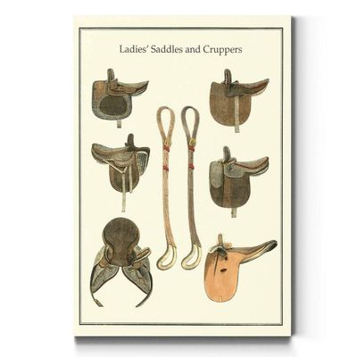 Renditions Gallery AZ-PortAmls01-tto-WC22-47033D-3248 Wall Art, 32X48, Saddles