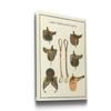 Renditions Gallery AZ-PortAmls01-tto-WC22-47033D-3248 Wall Art, 32X48, Saddles view 2