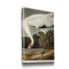 Portrait Style Canvas Wall Art: Animals, Majestic Birds, Fish, Water Foul, Duck & Goose, Rabbits, Rustic & Modern Decor for Home & Office, Ready to Hang - Hooping Crane 12X18 view 2