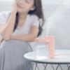 For Bedroom Home Mist Humidifiers For Portable Home Humidifier Small Office Desktop Usb Air Humidifier-Pink view 3