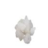 Satisfactory Nation 100% Natural Alum Fitkari Stone Fitkari Blocks 200 Gram view 1