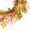 Berry, Caspia and Two-Toned Autumn Leaves Artificial Fall Harvest Wreath - 24" view 4