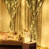 GUOCHENG Copper String Curtain Lights 3m x 3m LED Curtain Fairy Lights USB Powered Window Light Strings with Remote for Home Bedroom Party Wedding, Indoor Outdoor Decorations-warm white view 4