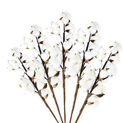 Kubert 5Pcs 20 inches 10 Heads Natural Dried Cotton Branches Farmhouse Artificial Flower Filler Floral Arrangement DIY Home Party Decor
