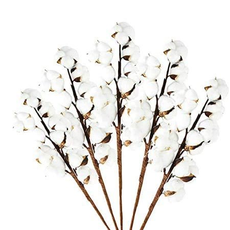 Kubert 5Pcs 20 inches 10 Heads Natural Dried Cotton Branches Farmhouse Artificial Flower Filler Floral Arrangement DIY Home Party Decor