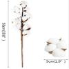 Kubert 5Pcs 20 inches 10 Heads Natural Dried Cotton Branches Farmhouse Artificial Flower Filler Floral Arrangement DIY Home Party Decor view 2